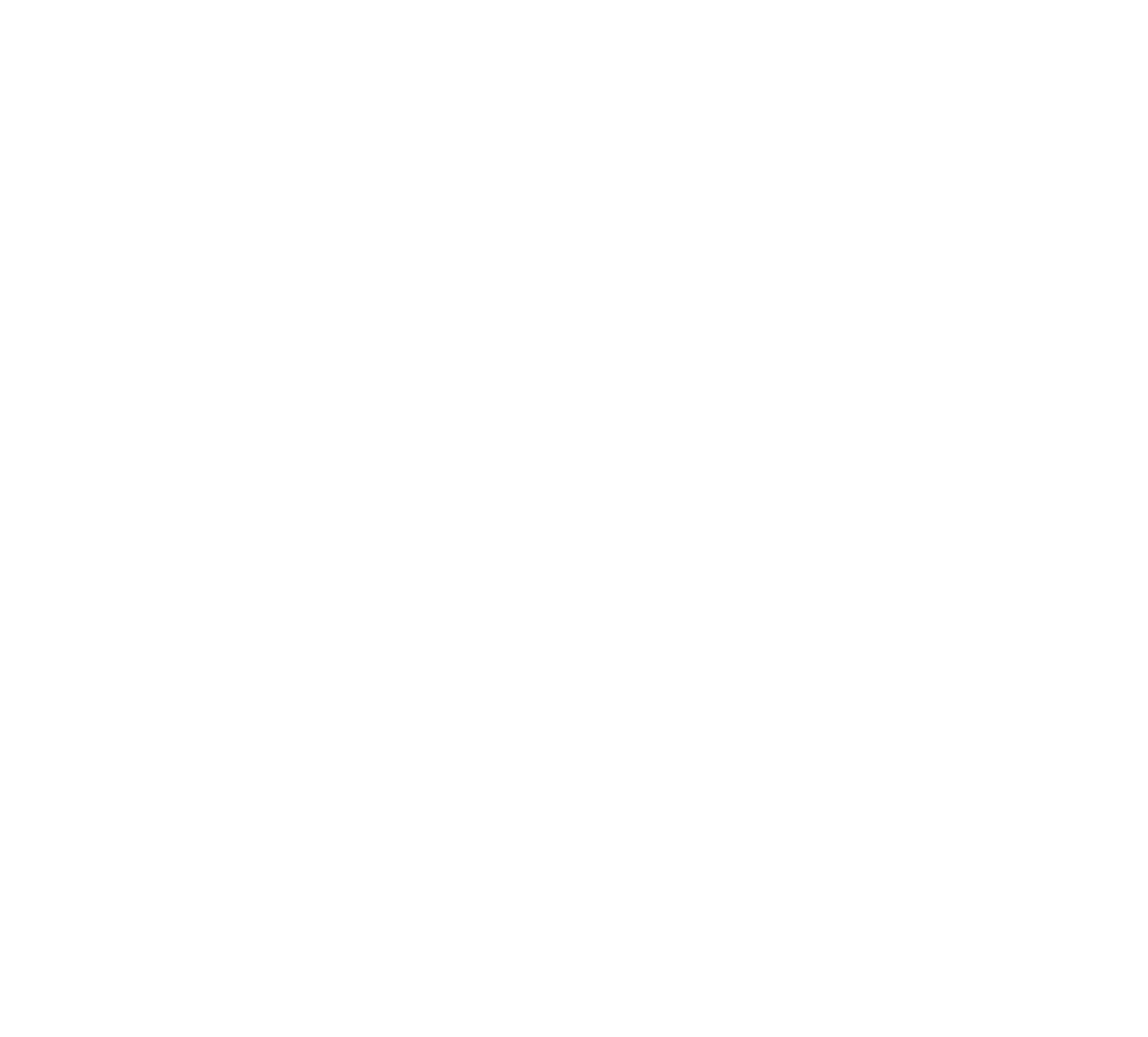 Dzign Prints